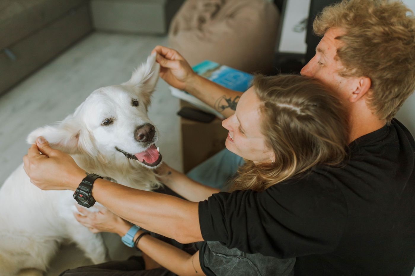 Paar kümmert sich liebevoll um ihren Hund beim Einzug